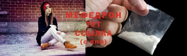spice Богородицк