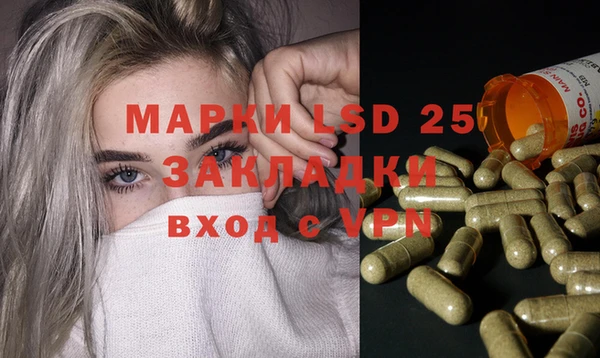 spice Богородицк