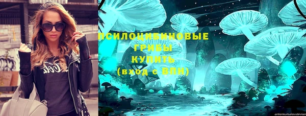МДПВ Бородино
