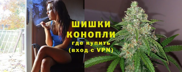 винт Белокуриха