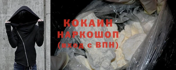 индика Бугульма