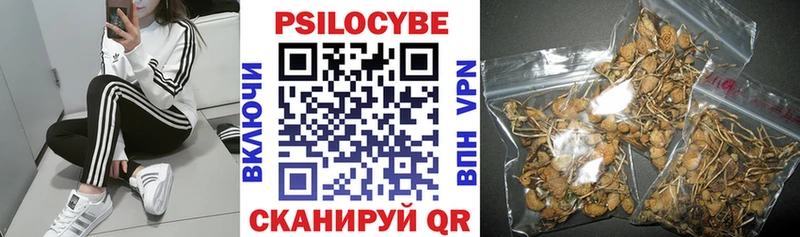Псилоцибиновые грибы MAGIC MUSHROOMS  Бикин 